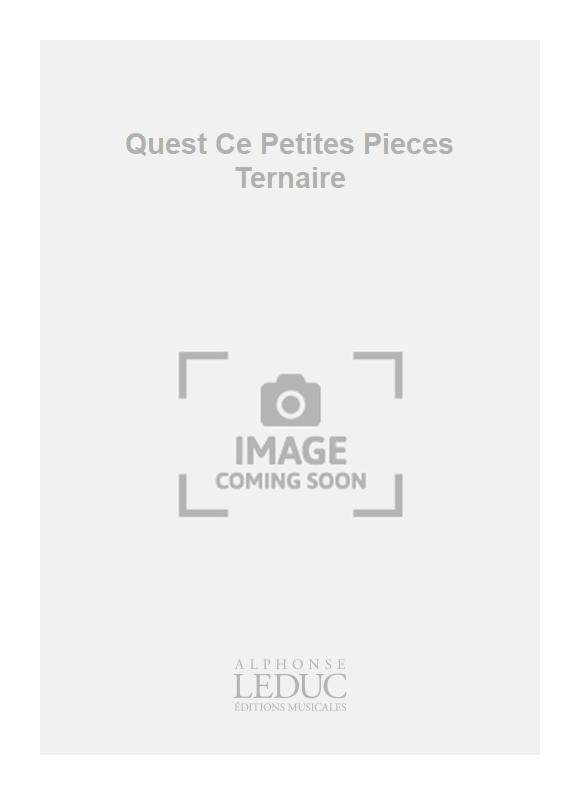 Quest Ce Petites Pièces Ternaire | Laurent Vieuble