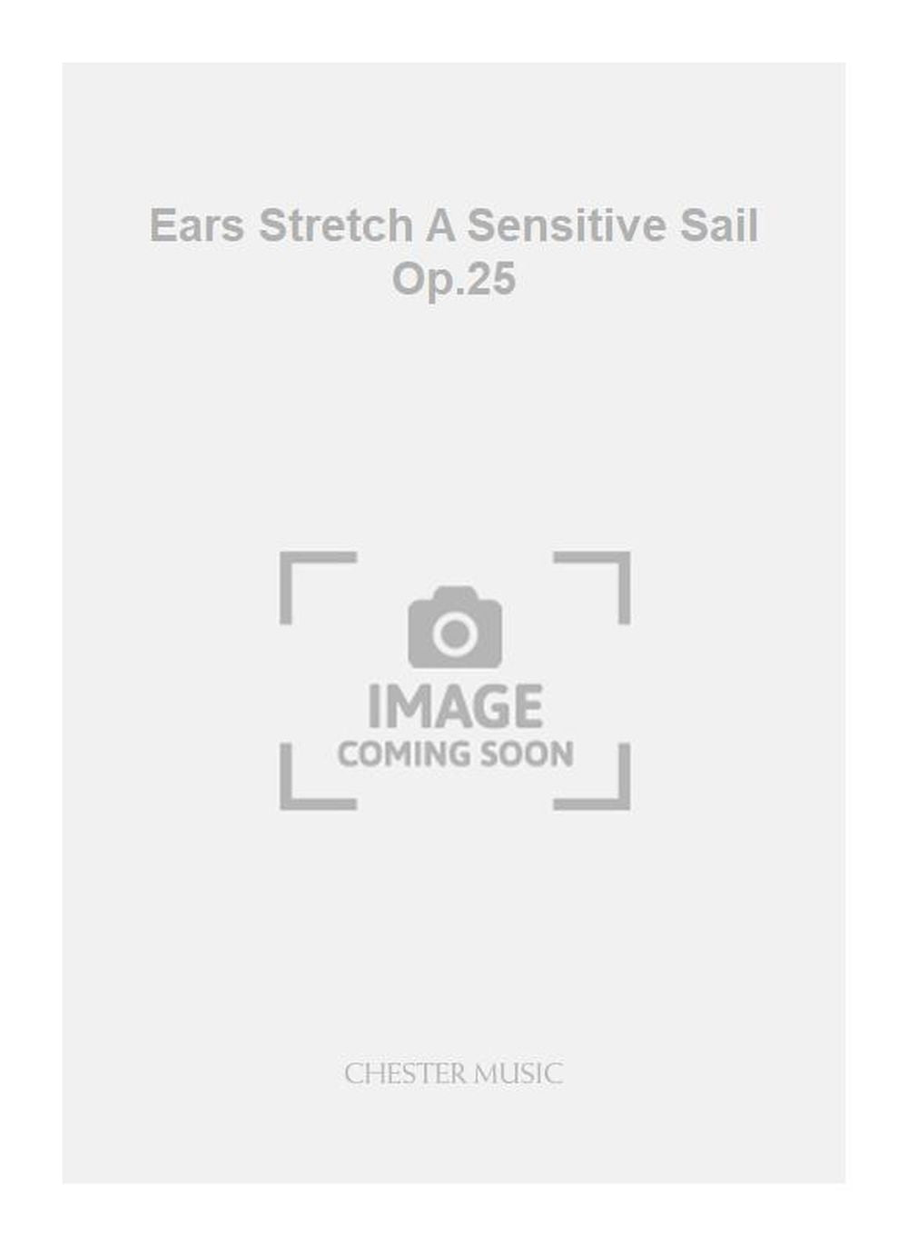 Ears Stretch A Sensitive Sail Op.25 de Haflidi Hallgrímsson, Jeu de parties pour percussion et Quatuor à cordes