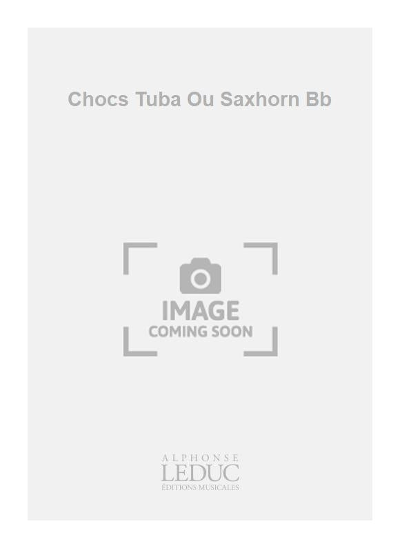 Chocs Tuba Ou Saxhorn Bb | Jean-Yves Remaud