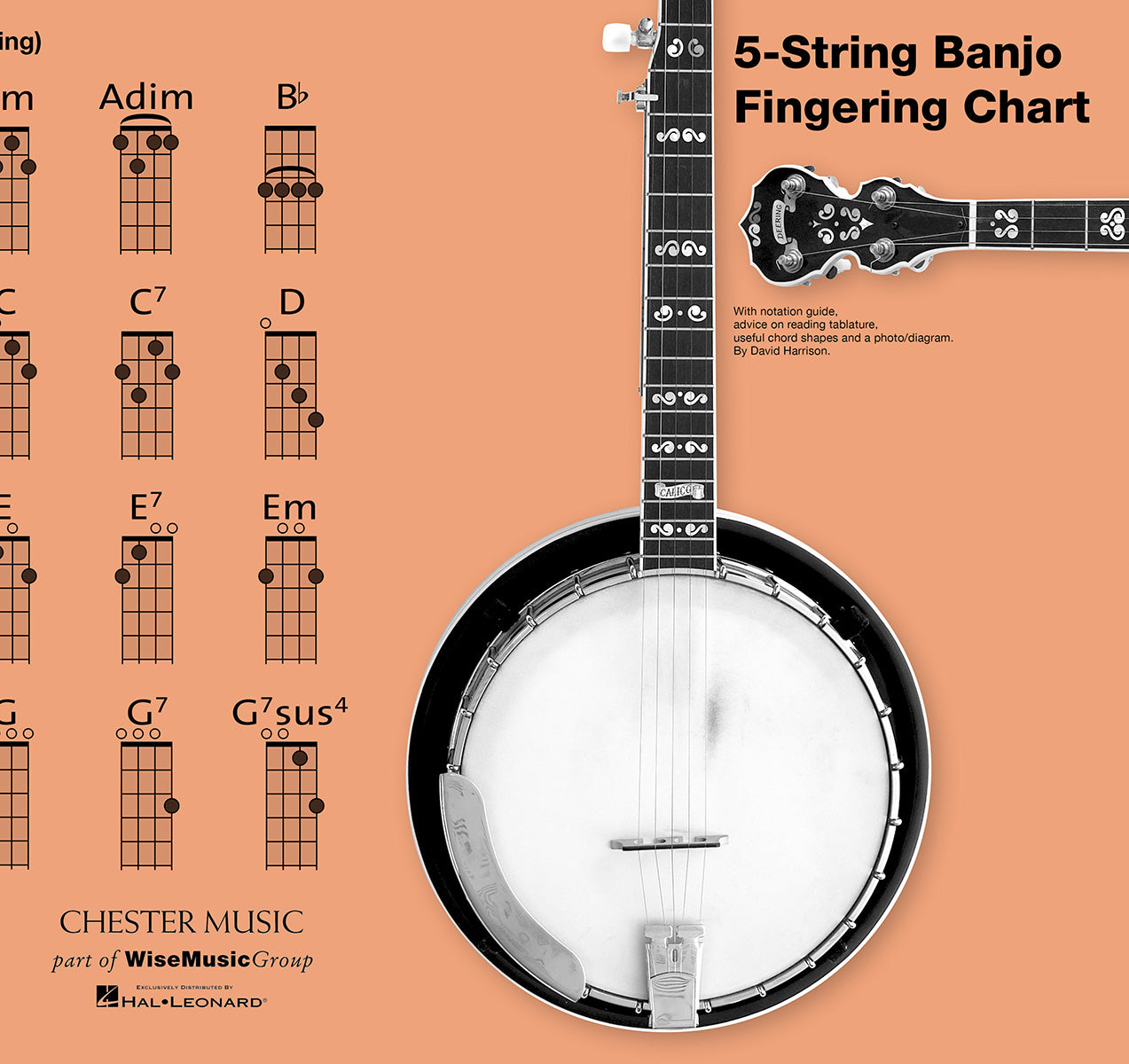 5-String Banjo Fingering Chart, Livre pour banjo