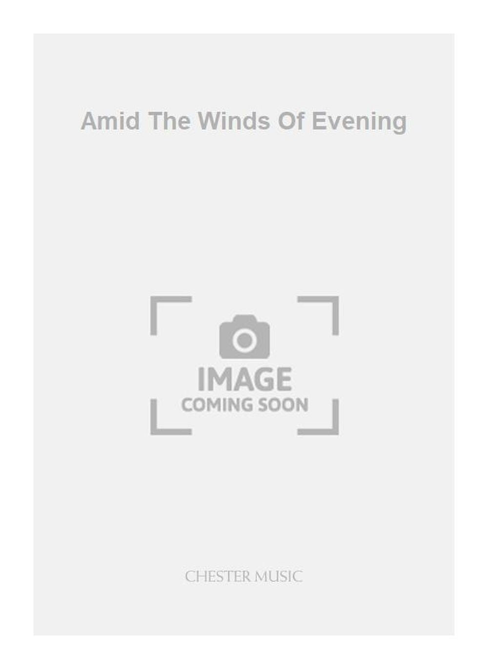 Amid The Winds Of Evening de Anthony Payne, Livre pour alto