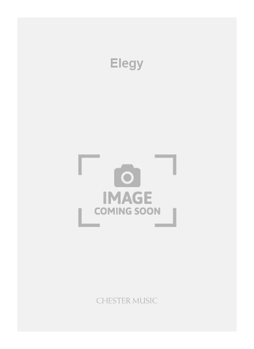 Elegy de Carl Vine, Jeu de parties pour ensemble de chambre